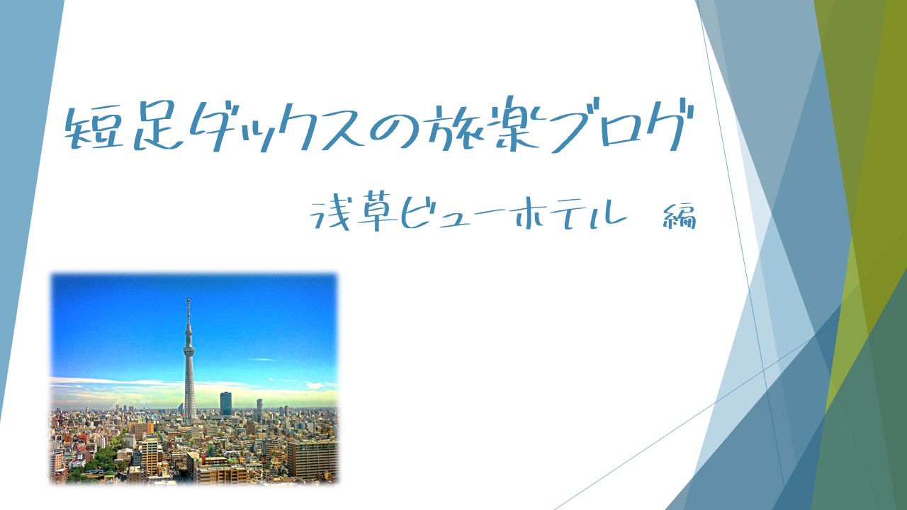 浅草ビューホテル宿泊記 スカイツリーが綺麗に見える部屋選び 各部屋の特徴を解説 短足ダックスの旅楽ブログ 口コミ