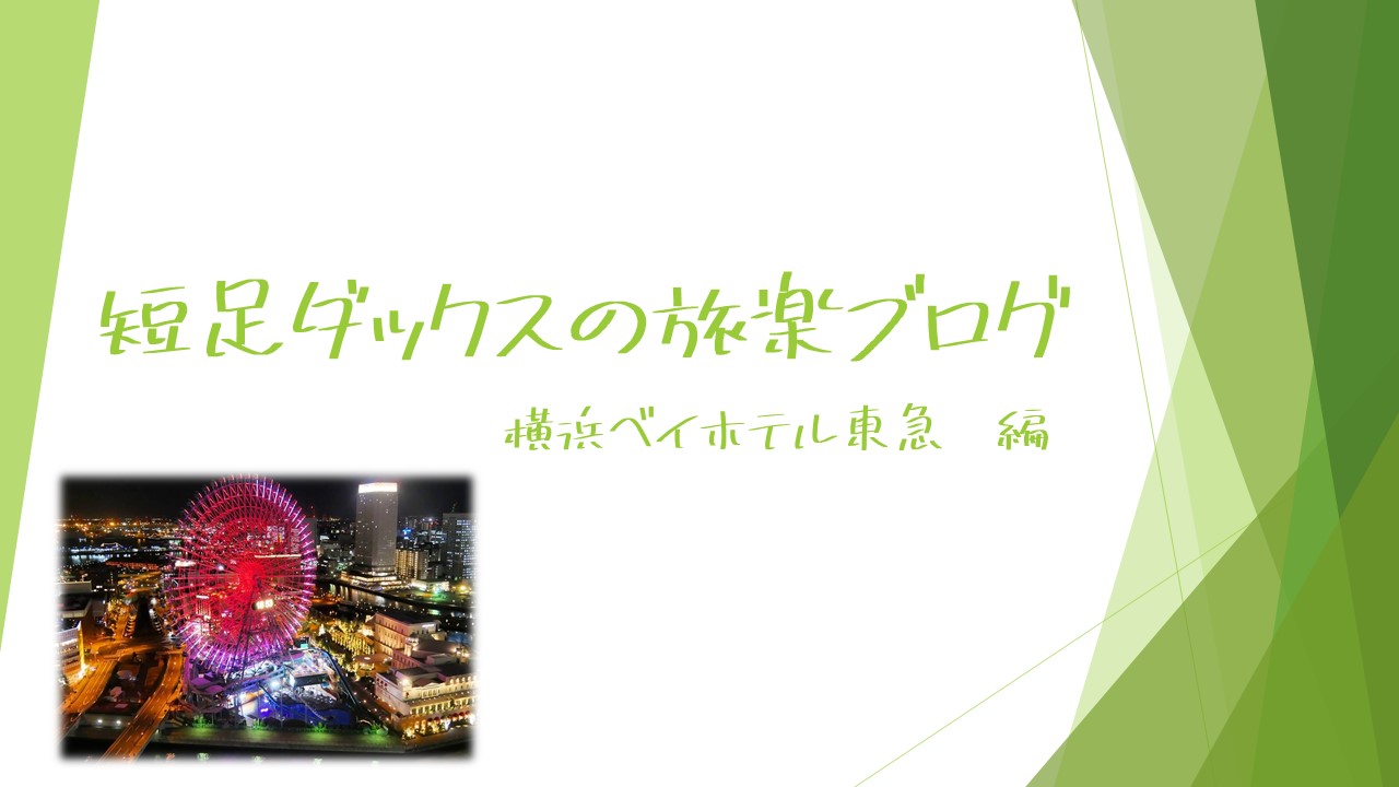 横浜ベイホテル東急の宿泊記 横浜のシンボル大観覧車を見ながら素敵な夜を過ごそう 短足ダックスの旅楽ブログ 口コミ