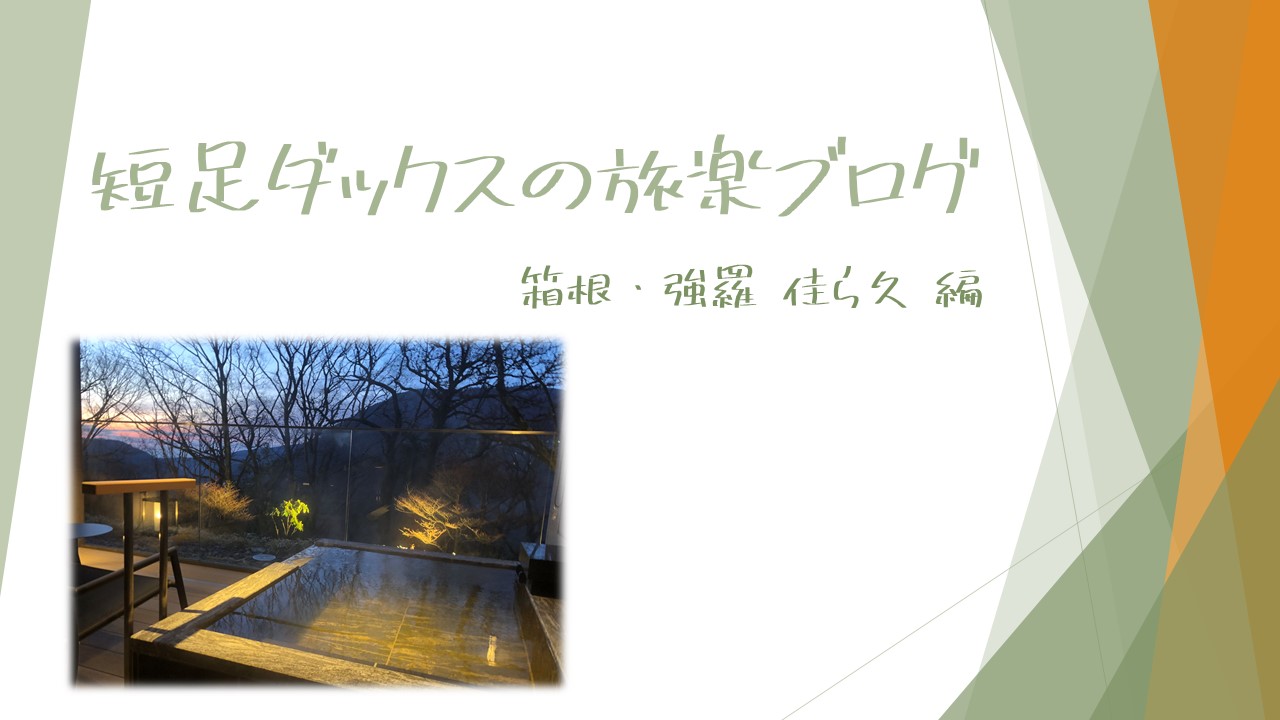 箱根 強羅 佳ら久 からく 全室露天風呂付の絶景温泉旅館の宿泊記 短足ダックスの旅楽ブログ 口コミ