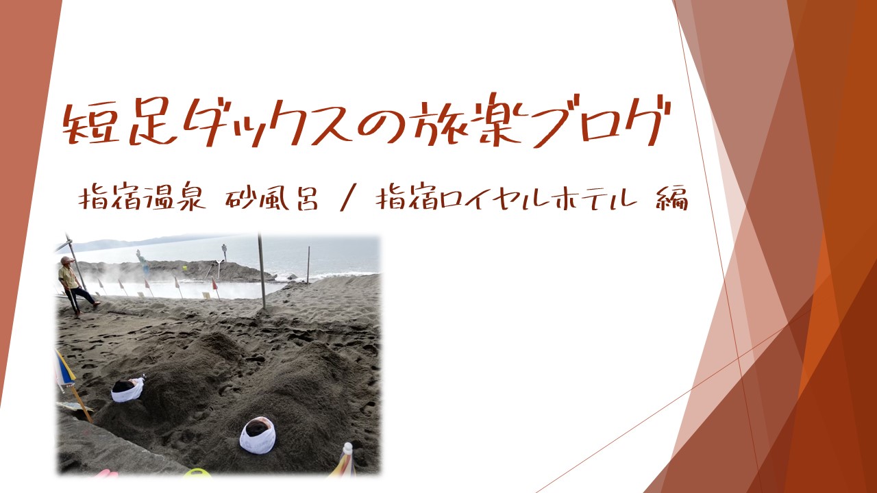 指宿温泉 砂風呂 編 鹿児島の砂楽で砂風呂を楽しもう 絶景の指宿ロイヤルホテル宿泊記 短足ダックスの旅楽ブログ 口コミ