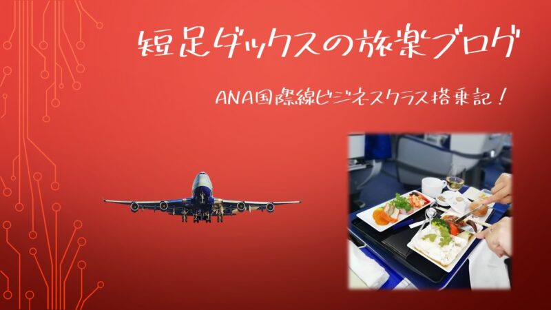 Ana国際線ビジネスクラス搭乗記 料金や機内食は 座席は 短足ダックスの旅楽ブログ